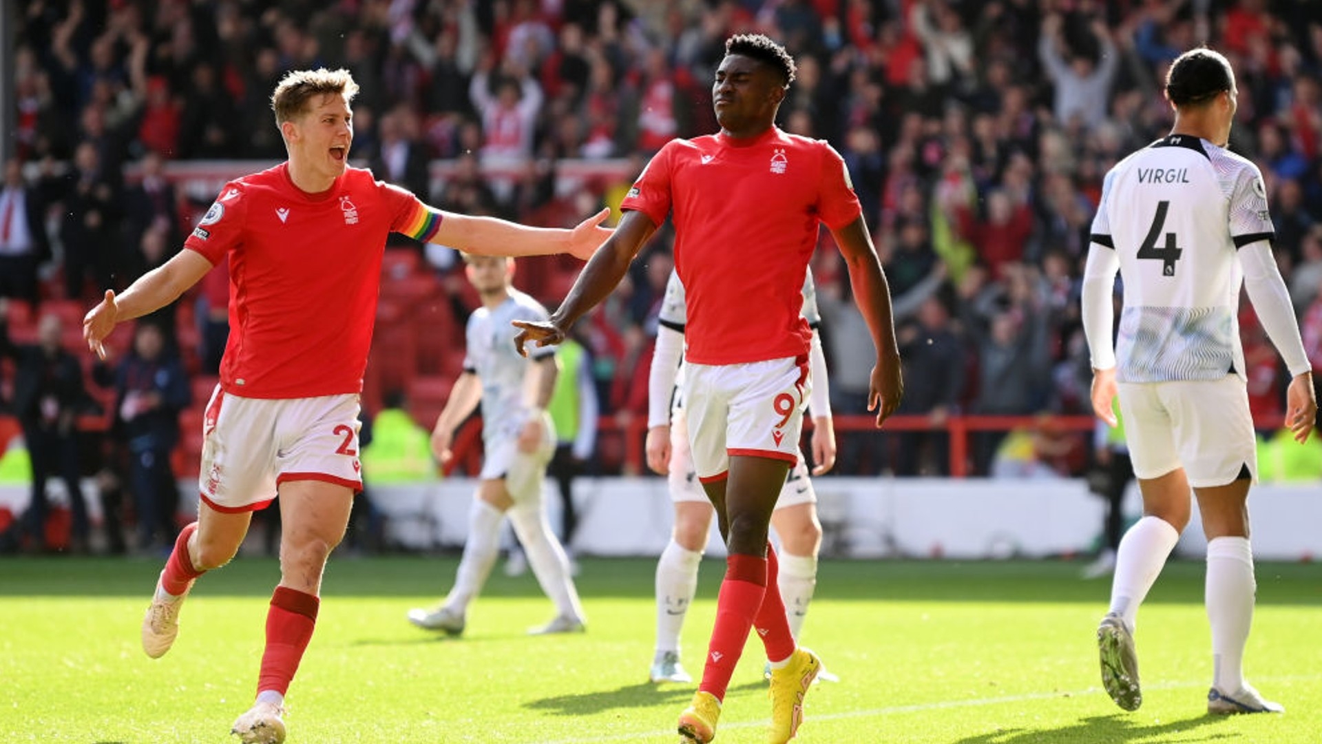 綻放如大威 綻放如大威